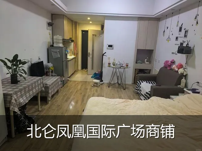 北仑凤凰国际广场商铺